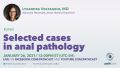 Lysandra Voltaggio - Selected cases in anal pathology-Voltaggio January.jpg