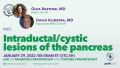 David Klimstra - Intraductal-cystic lesions of the pancreas-0129 Basturk Klimstra.jpg