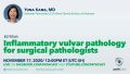 Yuna Kang - Inflammatory vulvar pathology for surgical pathologists-Kang November.jpg