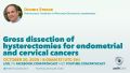 Dennis Strenk - Gross dissection of hysterectomies for endometrial and cervical cancers-Strenk october.jpg